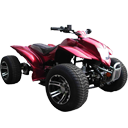 Wholesale 125cc ATV Japanese Racing Type R10  MODEL
