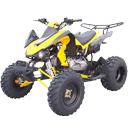 150cc Race ATVs Sale
