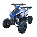Wholesale 110cc ATV Gas engine Top Quality Quad