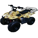 Wholesale 110cc ATV