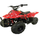 Wholesale 110cc ATV