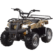 Wholesale ATV