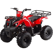 Wholesale 125cc ATV