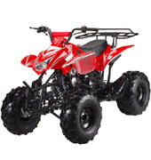 Wholesale 125cc ATV