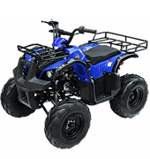 Wholesale 125cc ATV