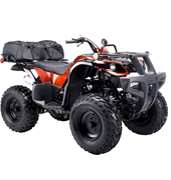 Wholesale 150cc ATV