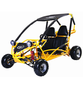 Wholesale Go kart