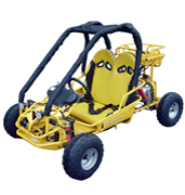 Wholesale Go kart